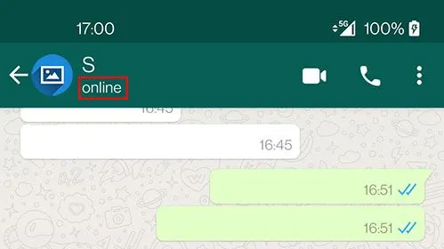Whatsapp Status Online Visible